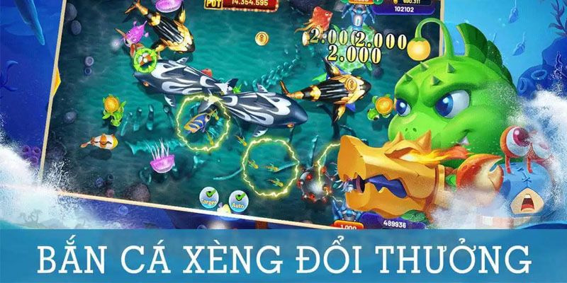 ban-ca-xeng-ku11-banner