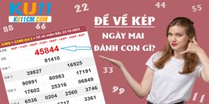 de-ve-kep-hom-sau-danh-con-gi-banner