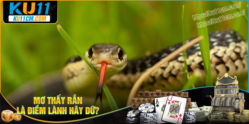 Giải mã nằm mơ thấy rắn là lành hay dữ?