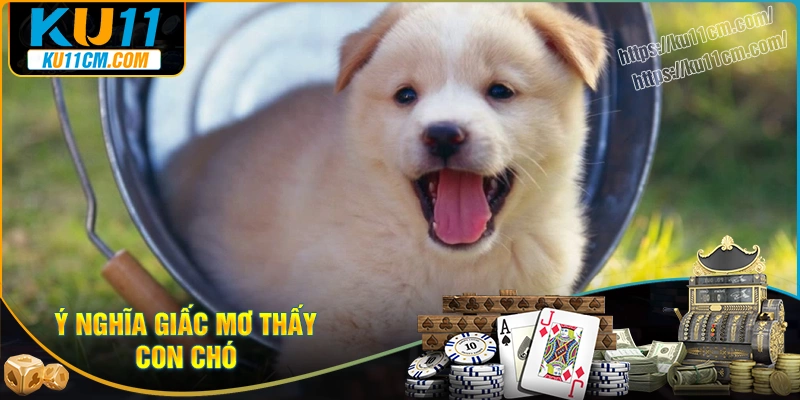 Giải thích ý nghĩa về giấc mơ thấy con chó