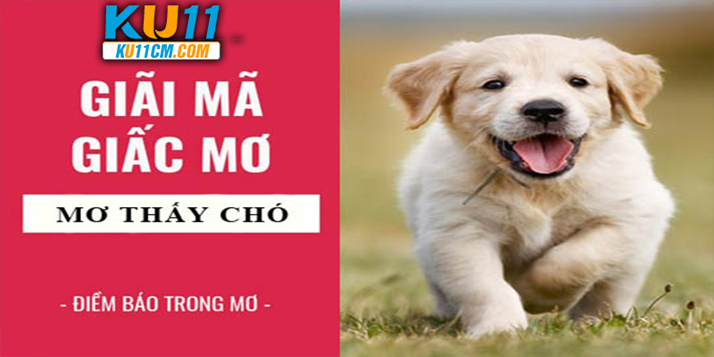 mo-thay-con-cho-banner