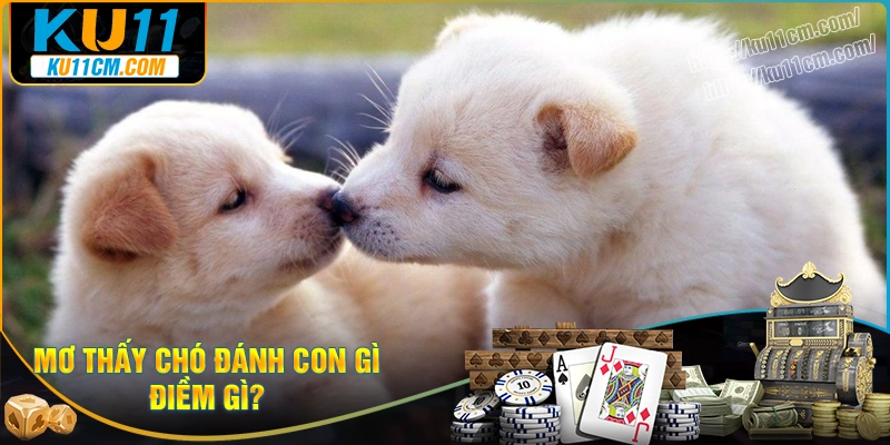 Ngủ mơ thấy chó trắng đánh con gì?