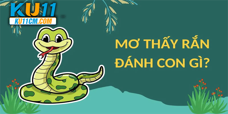 nam-mo-thay-ran-banner