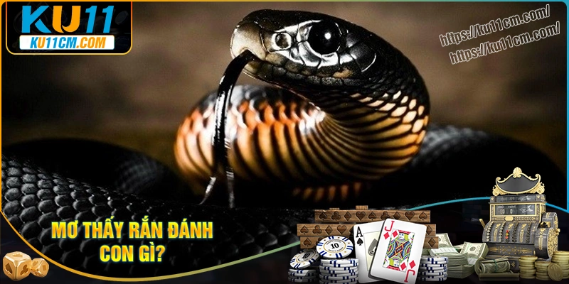 Những con số may mắn khi nằm mơ thấy rắn